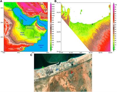 Characterization of the atmospheric circulation near the Empty Quarter Desert during major weather events